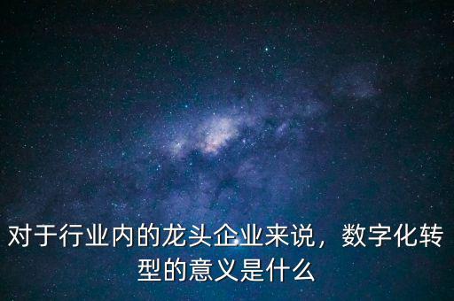 對于行業(yè)內(nèi)的龍頭企業(yè)來說，數(shù)字化轉(zhuǎn)型的意義是什么