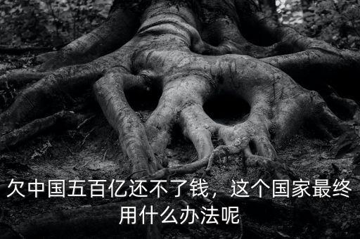 欠中國五百億還不了錢，這個(gè)國家最終用什么辦法呢