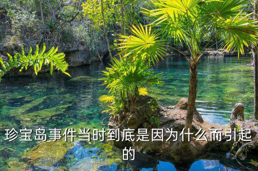珍寶島事件當(dāng)時到底是因?yàn)槭裁炊鸬? class=