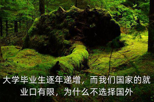 大學畢業(yè)生逐年遞增，而我們國家的就業(yè)口有限，為什么不選擇國外