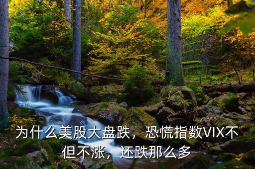 為什么美股大盤跌，恐慌指數(shù)VIX不但不漲，還跌那么多