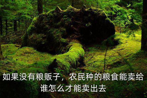 如果沒有糧販子，農(nóng)民種的糧食能賣給誰怎么才能賣出去