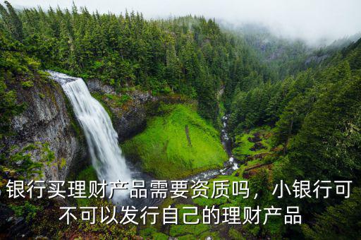 銀行買理財(cái)產(chǎn)品需要資質(zhì)嗎，小銀行可不可以發(fā)行自己的理財(cái)產(chǎn)品
