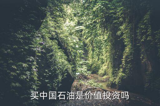 中國(guó)什么時(shí)候出手購(gòu)買(mǎi)石油,40價(jià)位出手買(mǎi)入幾億桶石油