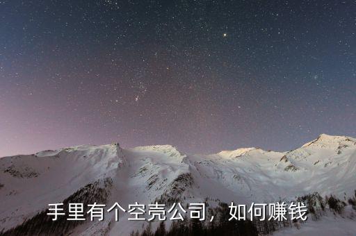 手里有個空殼公司，如何賺錢