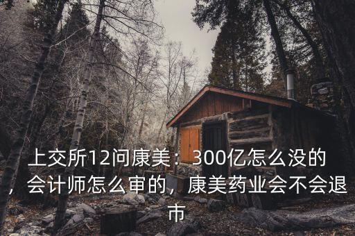 上交所12問康美：300億怎么沒的，會(huì)計(jì)師怎么審的，康美藥業(yè)會(huì)不會(huì)退市