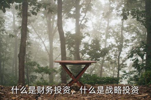什么是財務投資，什么是戰(zhàn)略投資