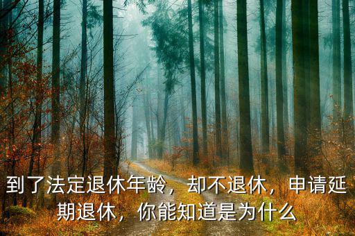 到了法定退休年齡，卻不退休，申請延期退休，你能知道是為什么
