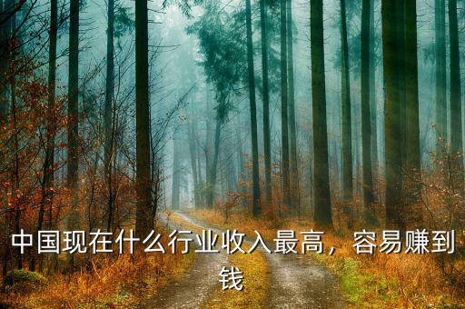 中國現(xiàn)在什么行業(yè)收入最高，容易賺到錢