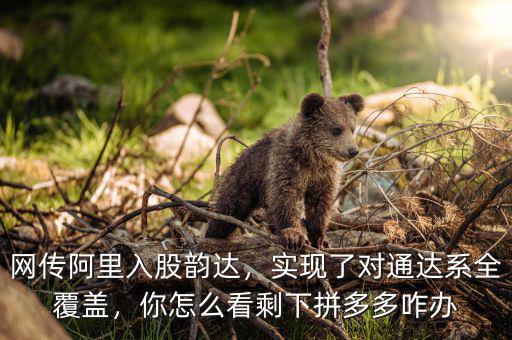 網(wǎng)傳阿里入股韻達，實現(xiàn)了對通達系全覆蓋，你怎么看剩下拼多多咋辦
