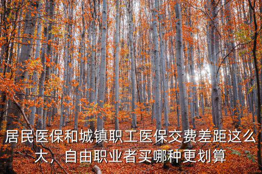 居民醫(yī)保和城鎮(zhèn)職工醫(yī)保交費(fèi)差距這么大，自由職業(yè)者買(mǎi)哪種更劃算