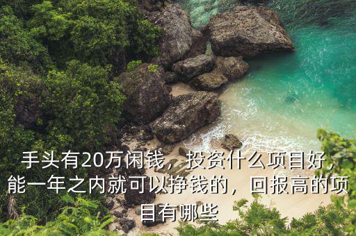 手頭有20萬閑錢，投資什么項目好，能一年之內(nèi)就可以掙錢的，回報高的項目有哪些