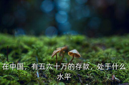 在中國，有五六十萬的存款，處于什么水平