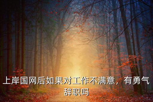 上岸國(guó)網(wǎng)后如果對(duì)工作不滿意，有勇氣辭職嗎