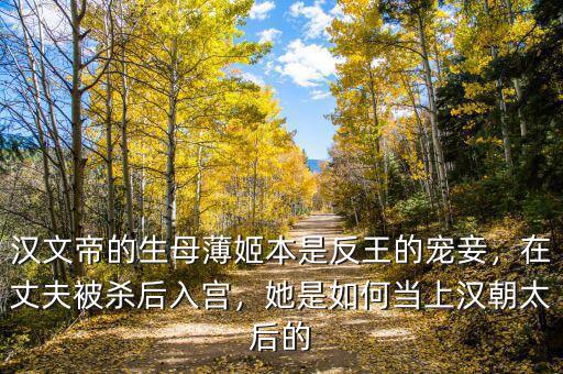 漢文帝的生母薄姬本是反王的寵妾，在丈夫被殺后入宮，她是如何當(dāng)上漢朝太后的