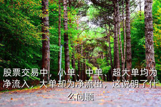 股票交易中，小單、中單、超大單均為凈流入，大單卻為凈流出，這說明了什么問題