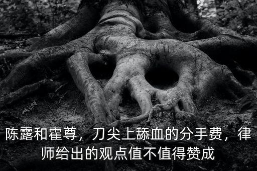 陳露和霍尊，刀尖上舔血的分手費(fèi)，律師給出的觀點(diǎn)值不值得贊成