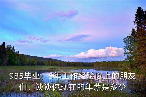 985畢業(yè)，5年工作經(jīng)驗(yàn)以上的朋友們，談?wù)勀悻F(xiàn)在的年薪是多少