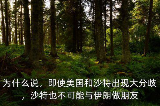 為什么說，即使美國和沙特出現(xiàn)大分歧，沙特也不可能與伊朗做朋友