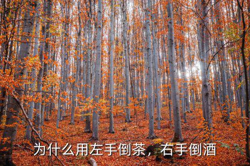 為什么用左手倒茶，右手倒酒