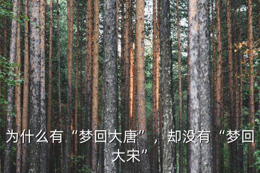 為什么有“夢(mèng)回大唐”，卻沒有“夢(mèng)回大宋”