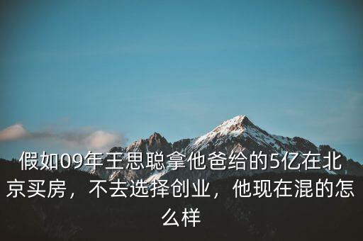 假如09年王思聰拿他爸給的5億在北京買房，不去選擇創(chuàng)業(yè)，他現(xiàn)在混的怎么樣