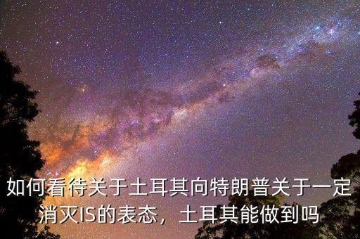 如何看待關(guān)于土耳其向特朗普關(guān)于一定消滅IS的表態(tài)，土耳其能做到嗎
