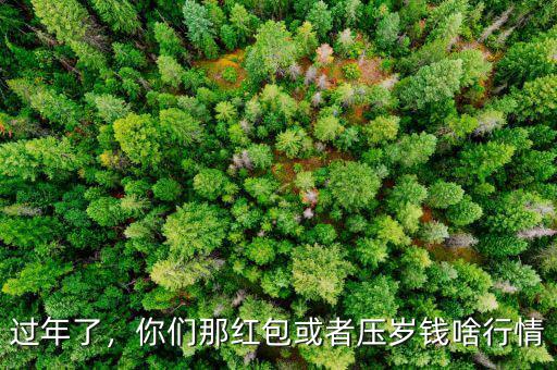 過年了，你們那紅包或者壓歲錢啥行情