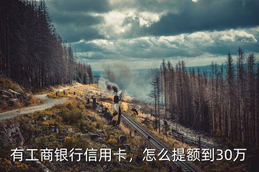 有工商銀行信用卡，怎么提額到30萬