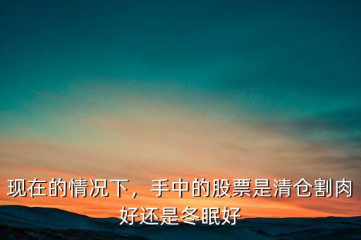 現(xiàn)在的情況下，手中的股票是清倉(cāng)割肉好還是冬眠好