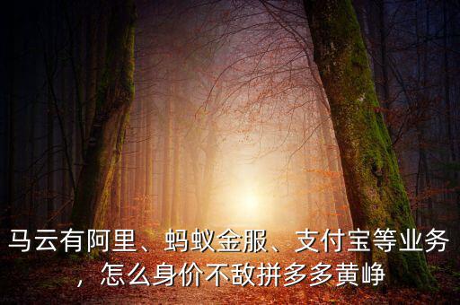馬云有阿里、螞蟻金服、支付寶等業(yè)務，怎么身價不敵拼多多黃崢