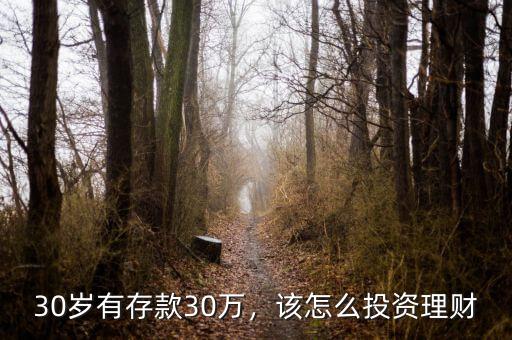 30歲有存款30萬(wàn)，該怎么投資理財(cái)
