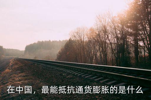 在中國，最能抵抗通貨膨脹的是什么