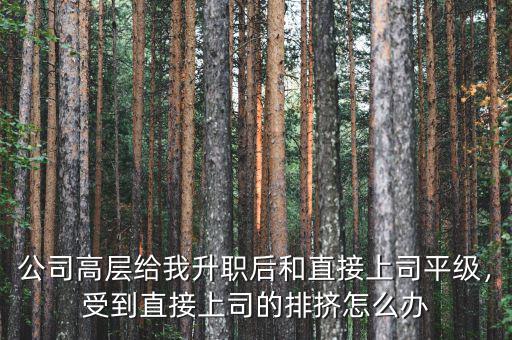 公司高層給我升職后和直接上司平級(jí)，受到直接上司的排擠怎么辦