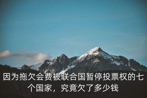 因為拖欠會費被聯(lián)合國暫停投票權的七個國家，究竟欠了多少錢