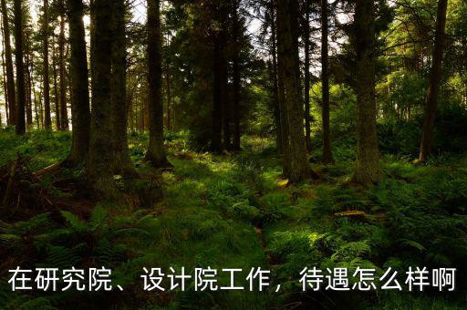 在研究院、設(shè)計(jì)院工作，待遇怎么樣啊