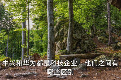中興和華為都是科技企業(yè)，他們之間有哪些區(qū)別