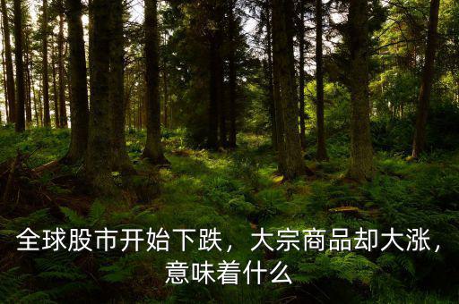 全球股市開始下跌，大宗商品卻大漲，意味著什么