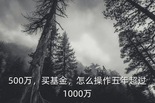 500萬(wàn)，買基金，怎么操作五年超過1000萬(wàn)