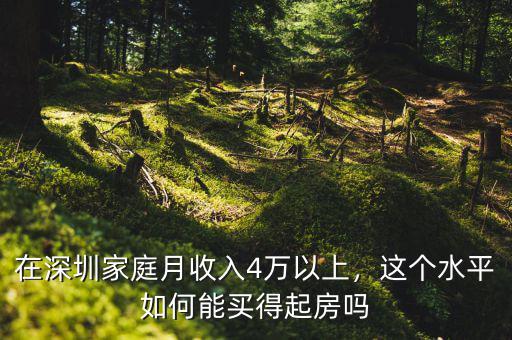 在深圳家庭月收入4萬(wàn)以上，這個(gè)水平如何能買(mǎi)得起房嗎