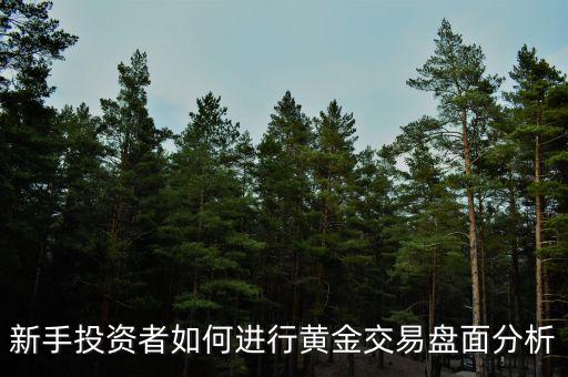 新手投資者如何進(jìn)行黃金交易盤(pán)面分析