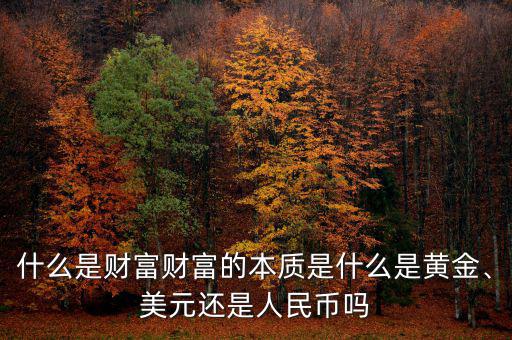 什么是財富財富的本質(zhì)是什么是黃金、美元還是人民幣嗎