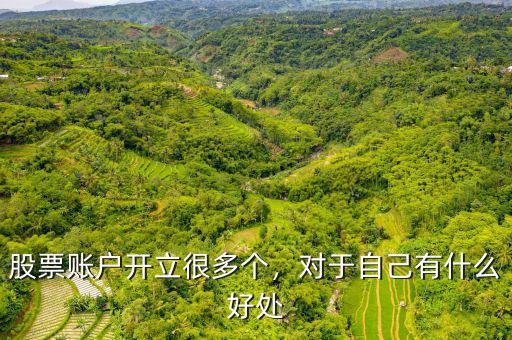 股票賬戶開立很多個，對于自己有什么好處