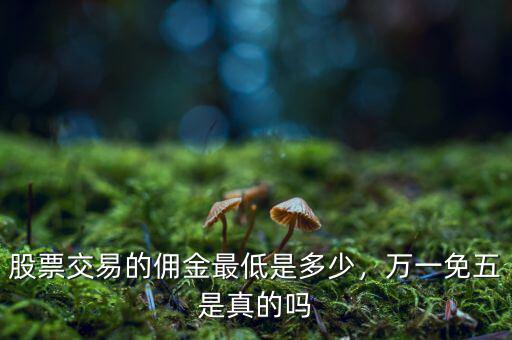 股票交易的傭金最低是多少，萬(wàn)一免五是真的嗎
