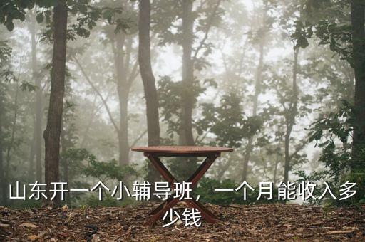 山東開(kāi)一個(gè)小輔導(dǎo)班，一個(gè)月能收入多少錢(qián)