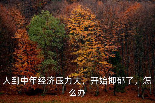 人到中年經(jīng)濟(jì)壓力大，開始抑郁了，怎么辦