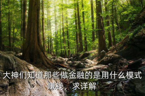 大神們知道那些做金融的是用什么模式賺錢，求詳解