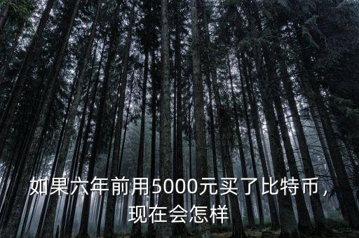 如果六年前用5000元買了比特幣，現(xiàn)在會(huì)怎樣