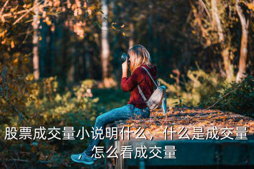 股票成交量小說明什么，什么是成交量，怎么看成交量