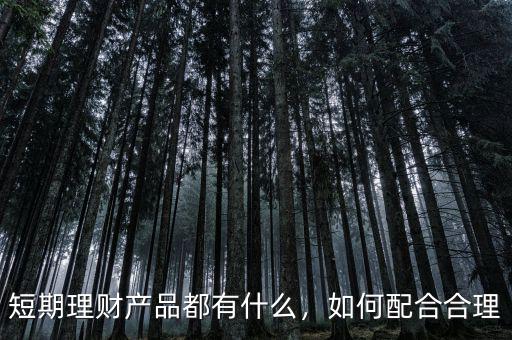 短期理財產(chǎn)品都有什么，如何配合合理